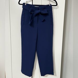 Aritzia Wilfred Tie Front Pants